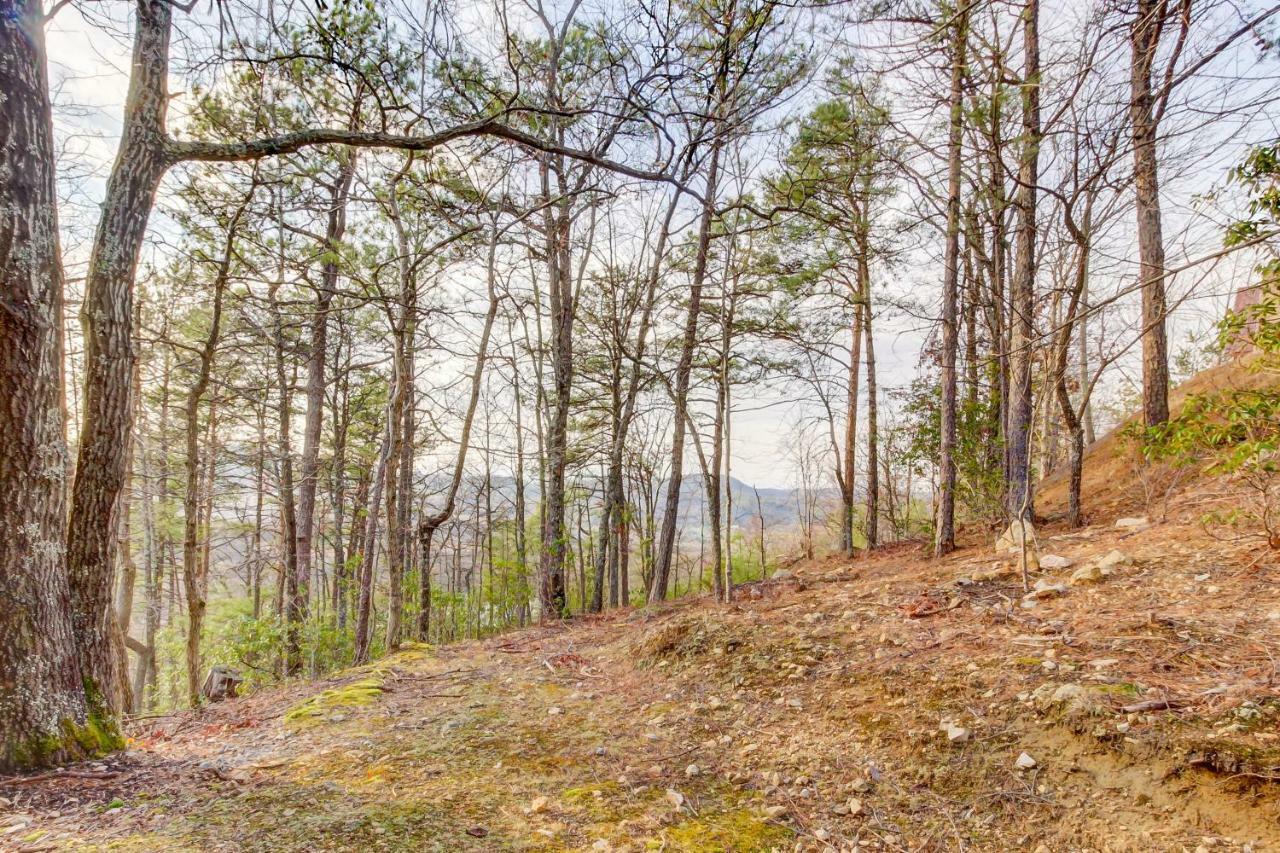 Misty View Cabin Hatchertown Ngoại thất bức ảnh